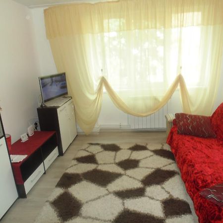 Lary Apartament Suceava Esterno foto
